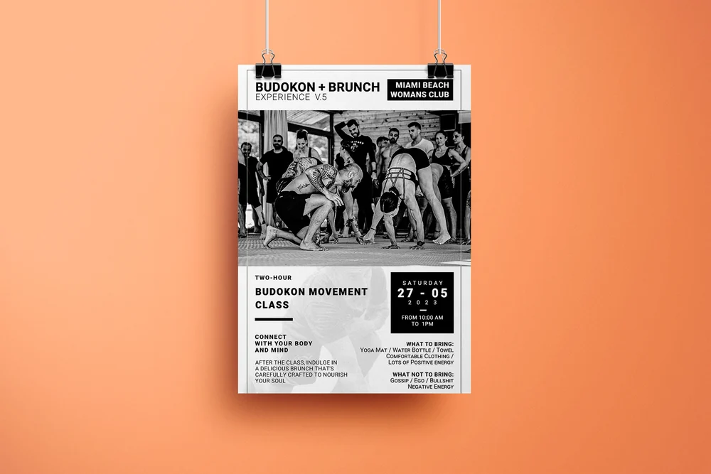 Flyers & Print / Selected visual 1
